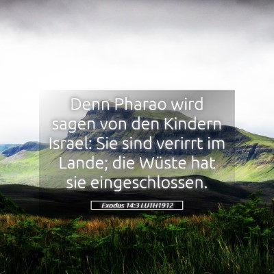 Picture 05 - Exodus 14:3 LUTH1912 - Denn Pharao wird sagen von den Kindern Israel: - Bible Verse Picture