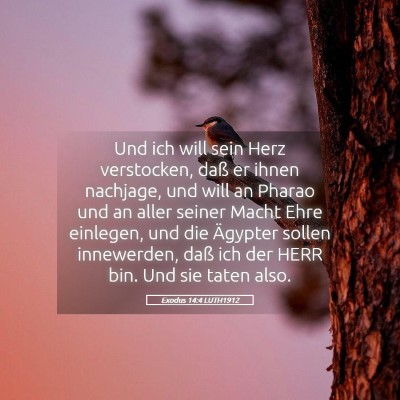 Picture 05 - Exodus 14:4 LUTH1912 - Und ich will sein Herz verstocken, daß er ihnen - Bible Verse Picture