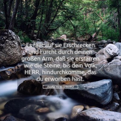 Picture 05 - Exodus 15:16 LUTH1912 - Es fällt auf sie Erschrecken und Furcht durch - Bible Verse Picture