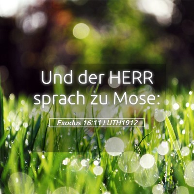 Picture 05 - Exodus 16:11 LUTH1912 - Und der HERR sprach zu - Bible Verse Picture