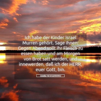 Picture 05 - Exodus 16:12 LUTH1912 - Ich habe der Kinder Israel Murren gehört. Sage - Bible Verse Picture
