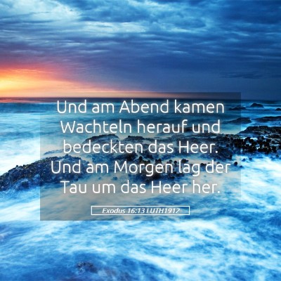 Picture 05 - Exodus 16:13 LUTH1912 - Und am Abend kamen Wachteln herauf und bedeckten - Bible Verse Picture