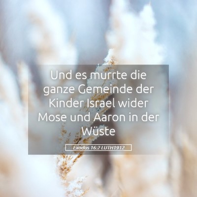 Picture 05 - Exodus 16:2 LUTH1912 - Und es murrte die ganze Gemeinde der Kinder - Bible Verse Picture