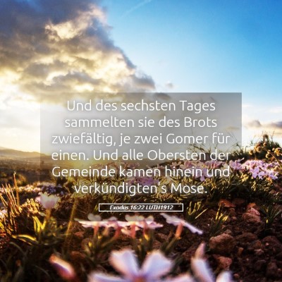 Picture 05 - Exodus 16:22 LUTH1912 - Und des sechsten Tages sammelten sie des Brots - Bible Verse Picture