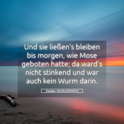 Picture 05 - Exodus 16:24 LUTH1912 - Und sie ließen's bleiben bis morgen, wie Mose - Bible Verse Picture
