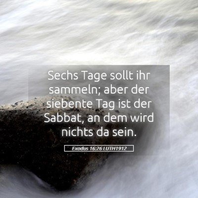 Picture 05 - Exodus 16:26 LUTH1912 - Sechs Tage sollt ihr sammeln; aber der siebente - Bible Verse Picture