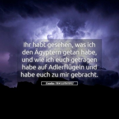 Picture 05 - Exodus 19:4 LUTH1912 - Ihr habt gesehen, was ich den Ägyptern getan - Bible Verse Picture