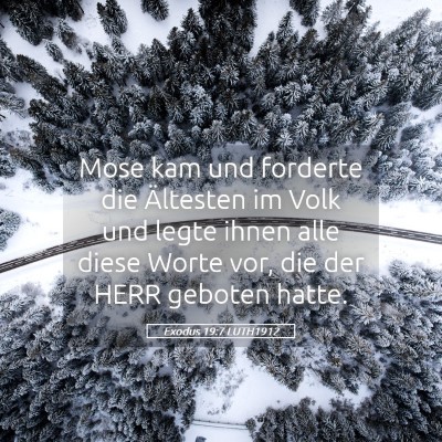 Picture 05 - Exodus 19:7 LUTH1912 - Mose kam und forderte die Ältesten im Volk und - Bible Verse Picture