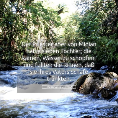 Picture 05 - Exodus 2:16 LUTH1912 - Der Priester aber von Midian hatte sieben - Bible Verse Picture