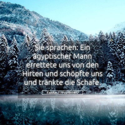 Picture 05 - Exodus 2:19 LUTH1912 - Sie sprachen: Ein ägyptischer Mann errettete uns - Bible Verse Picture