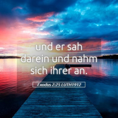 Picture 05 - Exodus 2:25 LUTH1912 - und er sah darein und nahm sich ihrer - Bible Verse Picture