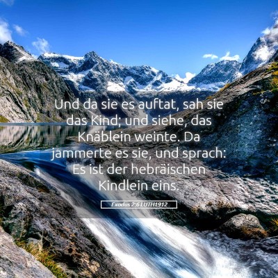 Picture 05 - Exodus 2:6 LUTH1912 - Und da sie es auftat, sah sie das Kind; und - Bible Verse Picture