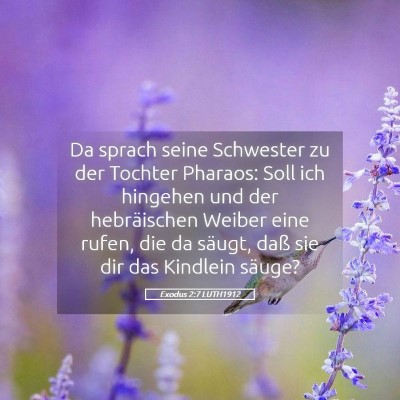 Picture 05 - Exodus 2:7 LUTH1912 - Da sprach seine Schwester zu der Tochter Pharaos: - Bible Verse Picture