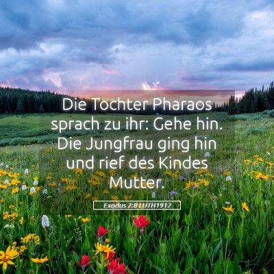 Picture 05 - Exodus 2:8 LUTH1912 - Die Tochter Pharaos sprach zu ihr: Gehe hin. Die - Bible Verse Picture