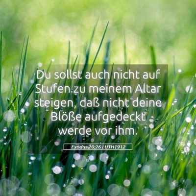 Picture 05 - Exodus 20:26 LUTH1912 - Du sollst auch nicht auf Stufen zu meinem Altar - Bible Verse Picture