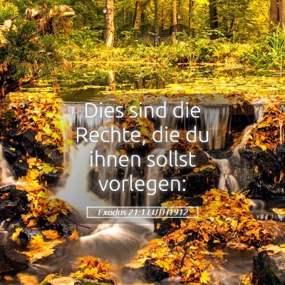 Picture 05 - Exodus 21:1 LUTH1912 - Dies sind die Rechte, die du ihnen sollst - Bible Verse Picture