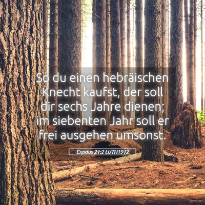 Picture 05 - Exodus 21:2 LUTH1912 - So du einen hebräischen Knecht kaufst, der soll - Bible Verse Picture