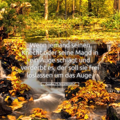 Picture 05 - Exodus 21:26 LUTH1912 - Wenn jemand seinen Knecht oder seine Magd in ein - Bible Verse Picture