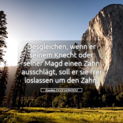 Picture 05 - Exodus 21:27 LUTH1912 - Desgleichen, wenn er seinem Knecht oder seiner - Bible Verse Picture