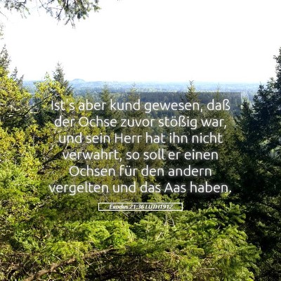 Picture 05 - Exodus 21:36 LUTH1912 - Ist's aber kund gewesen, daß der Ochse zuvor - Bible Verse Picture