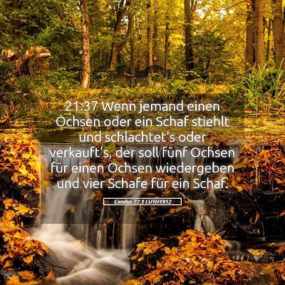 Picture 05 - Exodus 22:1 LUTH1912 - 21:37 Wenn jemand einen Ochsen oder ein Schaf - Bible Verse Picture