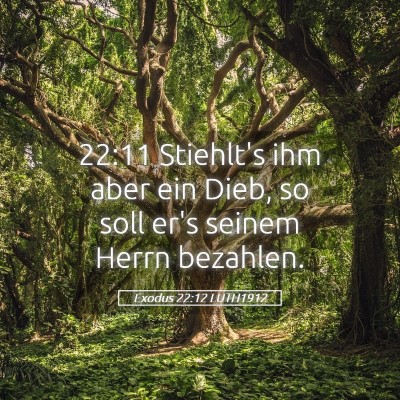 Picture 05 - Exodus 22:12 LUTH1912 - 22:11 Stiehlt's ihm aber ein Dieb, so soll er's - Bible Verse Picture