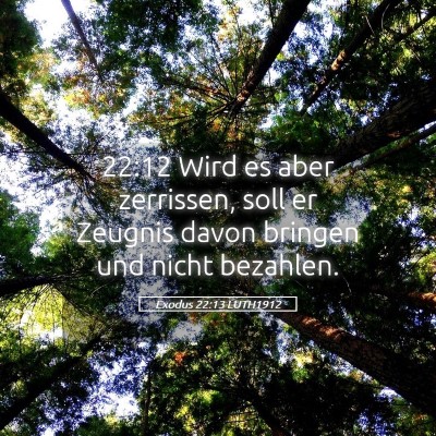 Picture 05 - Exodus 22:13 LUTH1912 - 22:12 Wird es aber zerrissen, soll er Zeugnis - Bible Verse Picture