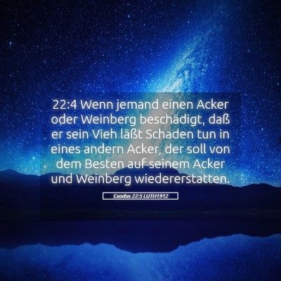 Picture 05 - Exodus 22:5 LUTH1912 - 22:4 Wenn jemand einen Acker oder Weinberg - Bible Verse Picture
