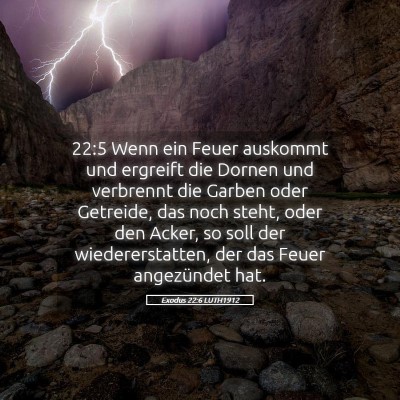 Picture 05 - Exodus 22:6 LUTH1912 - 22:5 Wenn ein Feuer auskommt und ergreift die - Bible Verse Picture