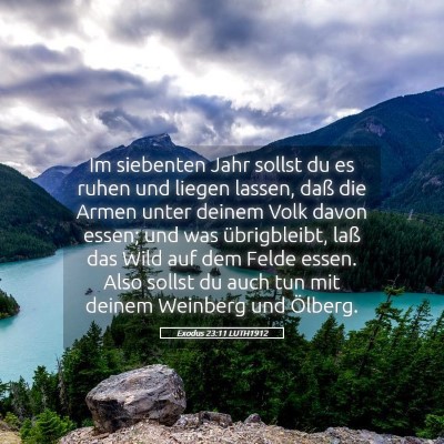 Picture 05 - Exodus 23:11 LUTH1912 - Im siebenten Jahr sollst du es ruhen und liegen - Bible Verse Picture