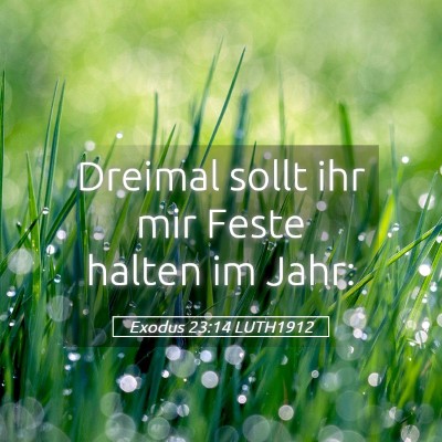 Picture 05 - Exodus 23:14 LUTH1912 - Dreimal sollt ihr mir Feste halten im - Bible Verse Picture