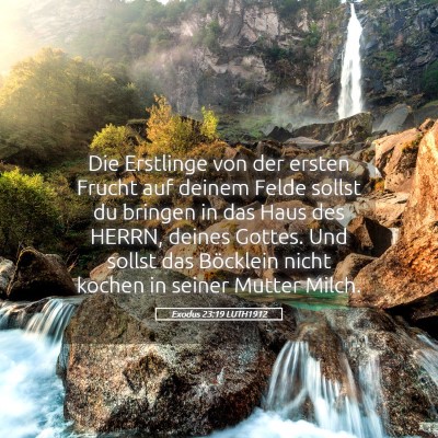 Picture 05 - Exodus 23:19 LUTH1912 - Die Erstlinge von der ersten Frucht auf deinem - Bible Verse Picture