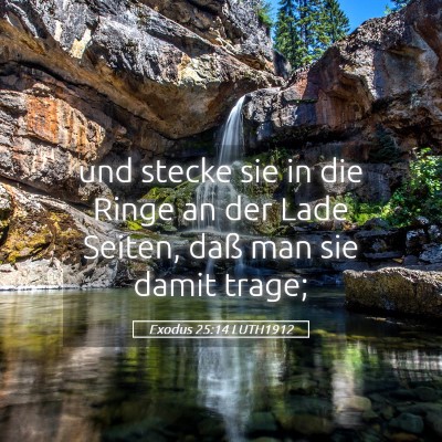 Picture 05 - Exodus 25:14 LUTH1912 - und stecke sie in die Ringe an der Lade Seiten, - Bible Verse Picture