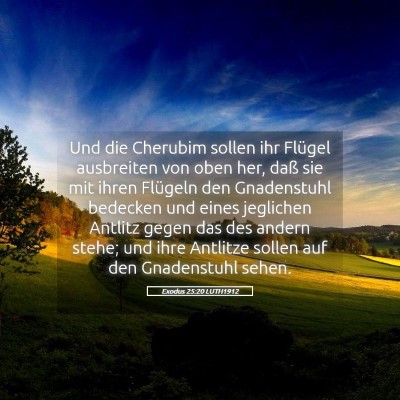 Picture 05 - Exodus 25:20 LUTH1912 - Und die Cherubim sollen ihr Flügel ausbreiten - Bible Verse Picture