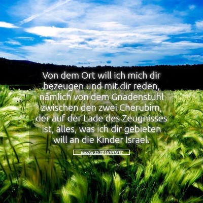 Picture 05 - Exodus 25:22 LUTH1912 - Von dem Ort will ich mich dir bezeugen und mit - Bible Verse Picture
