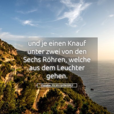 Picture 05 - Exodus 25:35 LUTH1912 - und je einen Knauf unter zwei von den Sechs - Bible Verse Picture