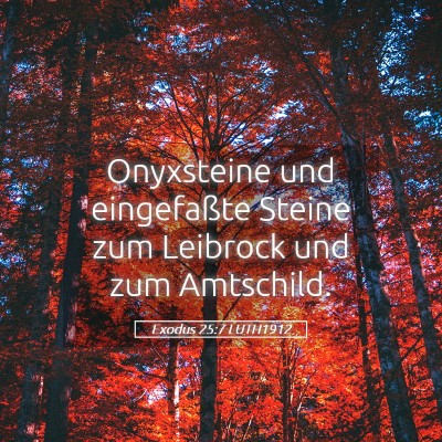 Picture 05 - Exodus 25:7 LUTH1912 - Onyxsteine und eingefaßte Steine zum Leibrock - Bible Verse Picture