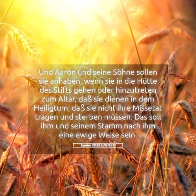Picture 05 - Exodus 28:43 LUTH1912 - Und Aaron und seine Söhne sollen sie anhaben, - Bible Verse Picture