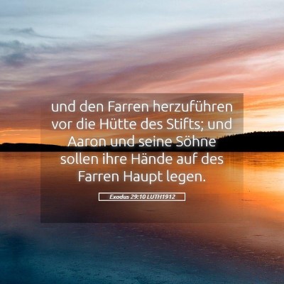 Picture 05 - Exodus 29:10 LUTH1912 - und den Farren herzuführen vor die Hütte des - Bible Verse Picture