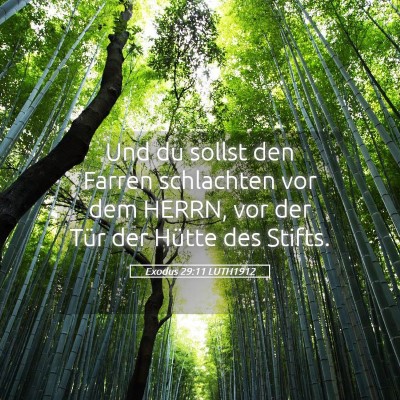 Picture 05 - Exodus 29:11 LUTH1912 - Und du sollst den Farren schlachten vor dem - Bible Verse Picture