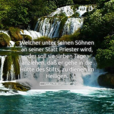 Picture 05 - Exodus 29:30 LUTH1912 - Welcher unter seinen Söhnen an seiner Statt - Bible Verse Picture