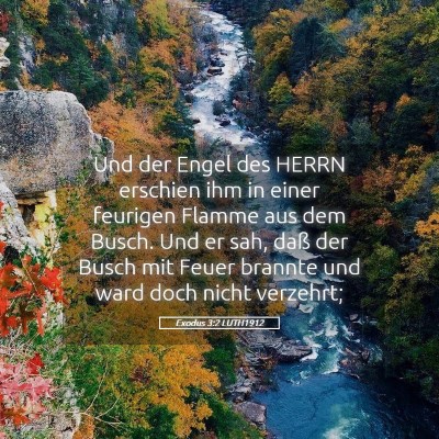 Picture 05 - Exodus 3:2 LUTH1912 - Und der Engel des HERRN erschien ihm in einer - Bible Verse Picture