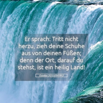 Picture 05 - Exodus 3:5 LUTH1912 - Er sprach: Tritt nicht herzu, zieh deine Schuhe - Bible Verse Picture
