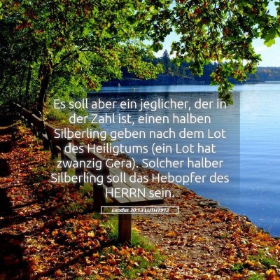 Picture 05 - Exodus 30:13 LUTH1912 - Es soll aber ein jeglicher, der in der Zahl ist, - Bible Verse Picture