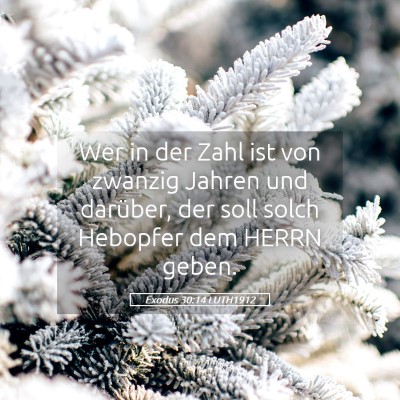 Picture 05 - Exodus 30:14 LUTH1912 - Wer in der Zahl ist von zwanzig Jahren und - Bible Verse Picture