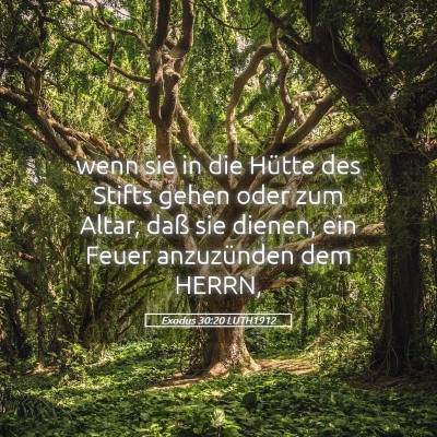 Picture 05 - Exodus 30:20 LUTH1912 - wenn sie in die Hütte des Stifts gehen oder zum - Bible Verse Picture