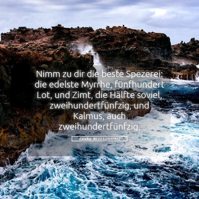 Picture 05 - Exodus 30:23 LUTH1912 - Nimm zu dir die beste Spezerei: die edelste - Bible Verse Picture