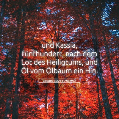 Picture 05 - Exodus 30:24 LUTH1912 - und Kassia, fünfhundert, nach dem Lot des - Bible Verse Picture