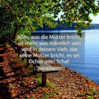Picture 05 - Exodus 34:19 LUTH1912 - Alles, was die Mutter bricht, ist mein; was - Bible Verse Picture