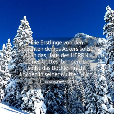 Picture 05 - Exodus 34:26 LUTH1912 - Die Erstlinge von den Früchten deines Ackers - Bible Verse Picture